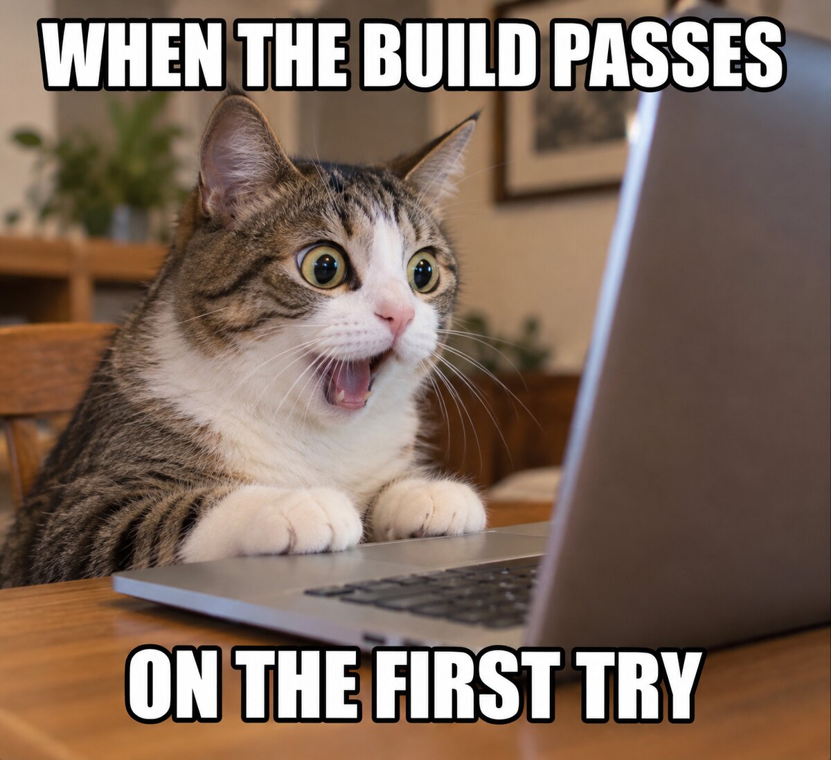 A cat meme, Before